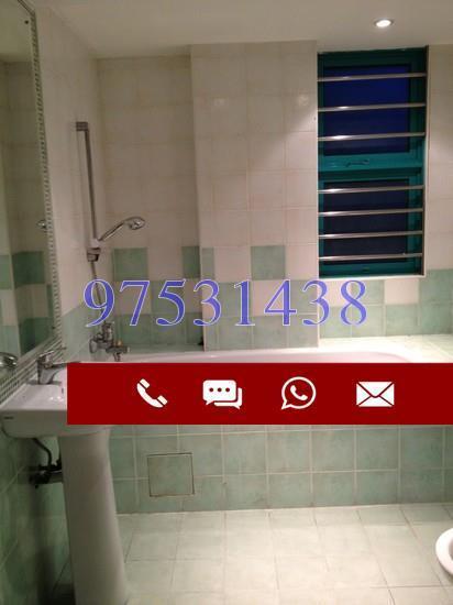 Celadon View (D17), Apartment #168776932